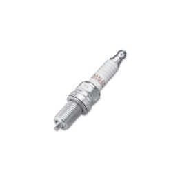CANDELA DI SERIE H-D  6R12