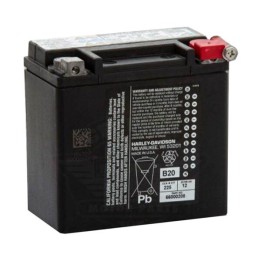 Batteria AGM HD 12Ah XL Sportster 04-21 66000208A