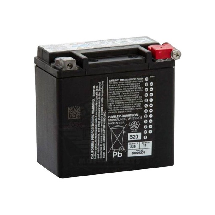 Batteria AGM HD 12Ah XL Sportster 04-21 66000208A