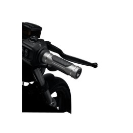 MANOPOLE Adversary