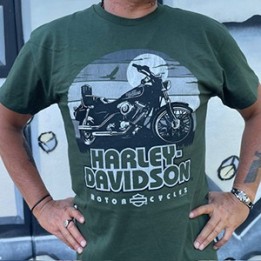 THE GREEN ONE HD RAVENNA LOGO SHIRT