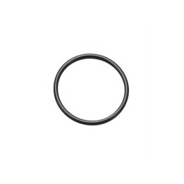 Guarnizione O-ring originale *11105*
