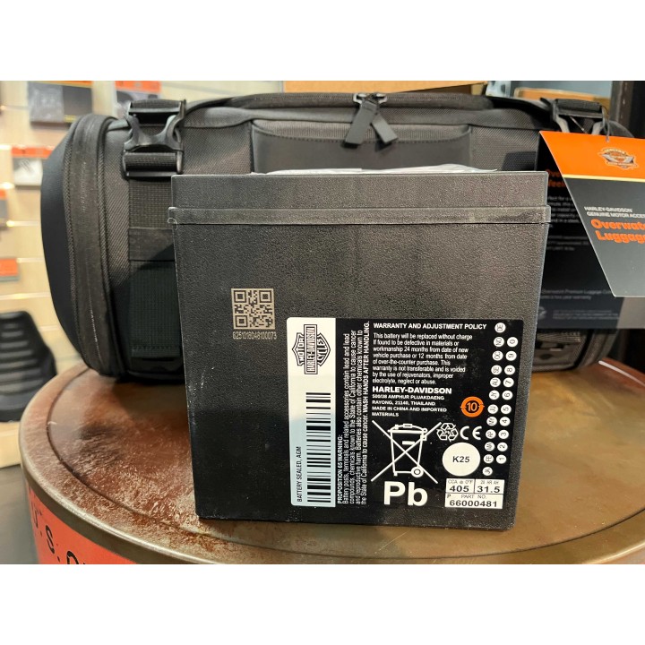 BATTERIA ORIGINALE HARLEY-DAVIDSON® AGM 30 Ampere ora codice articolo 66000481
