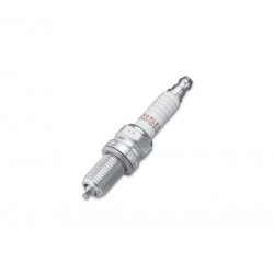 CANDELA DI SERIE H-D (4R)