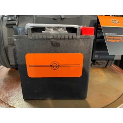 BATTERIA ORIGINALE...